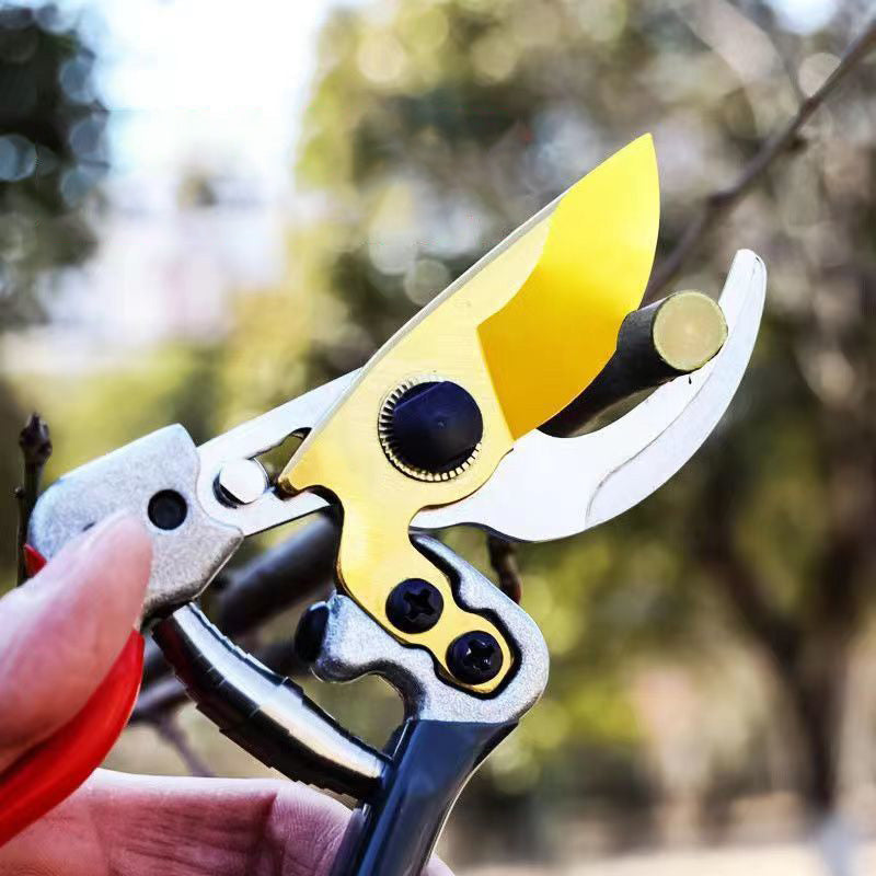 🌱Kaufe 2, erhalte 1 GRATIS! Robuste SK5-Gartenschere – Scharfer Schnitt, mühelose Gartenpflege! 🌿 Ultrascharfe Klinge, rutschfester Griff, stark für Äste & Sträucher ✂️