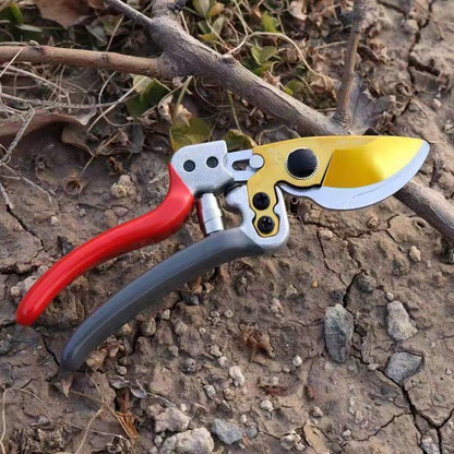 🌱Kaufe 2, erhalte 1 GRATIS! Robuste SK5-Gartenschere – Scharfer Schnitt, mühelose Gartenpflege! 🌿 Ultrascharfe Klinge, rutschfester Griff, stark für Äste & Sträucher ✂️