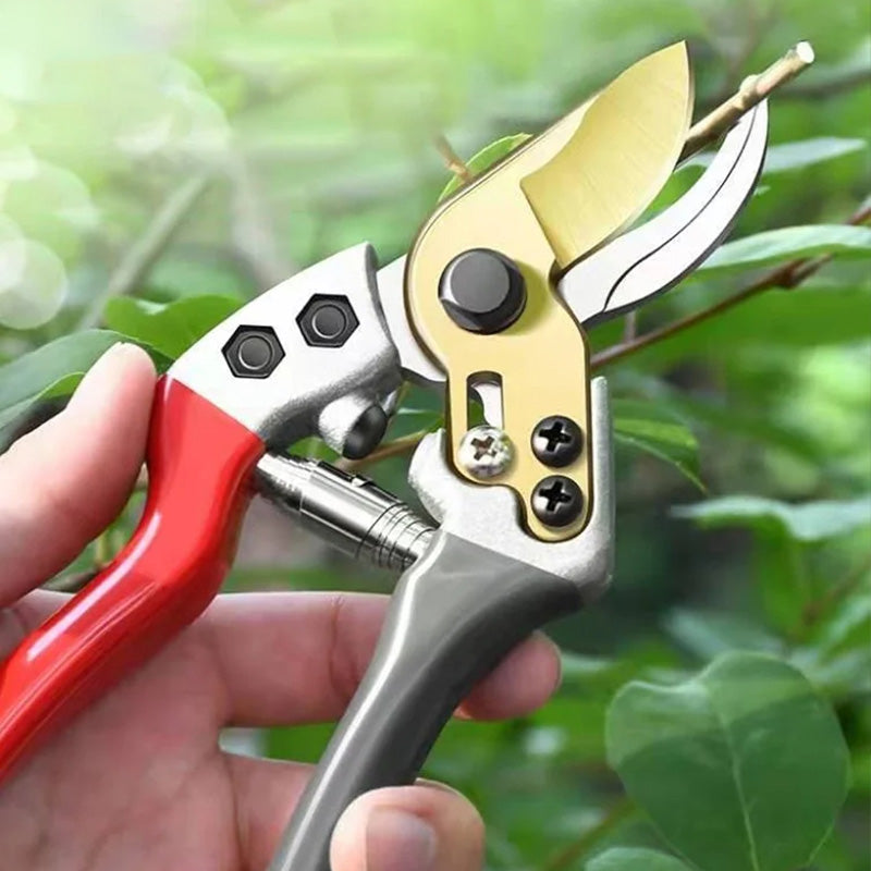 🌱Kaufe 2, erhalte 1 GRATIS! Robuste SK5-Gartenschere – Scharfer Schnitt, mühelose Gartenpflege! 🌿 Ultrascharfe Klinge, rutschfester Griff, stark für Äste & Sträucher ✂️